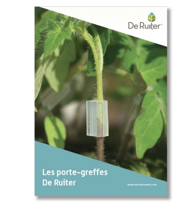Cataloque porte greffe