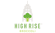 high rise